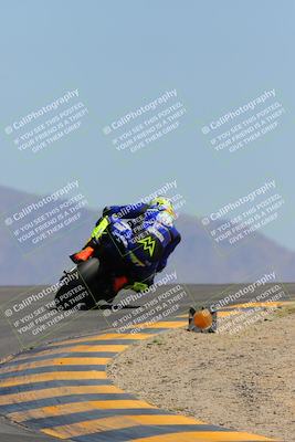 media/Apr-09-2023-SoCal Trackdays (Sun) [[333f347954]]/Turn 12 Backside (1pm)/